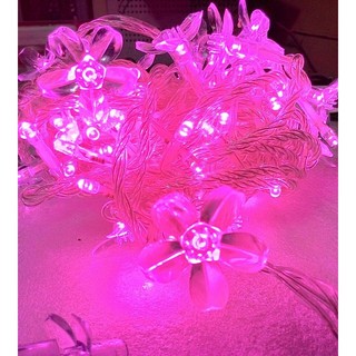 配件~桃花燈套~搭配~品質優的LED聖誕燈~10米100燈,防水星星燈,樹燈 網燈 冰條燈 窗簾燈流星燈