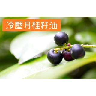 『現貨』 冷壓月桂籽油 Laurel seed oil unrefined 100ml 500ml 1000ml