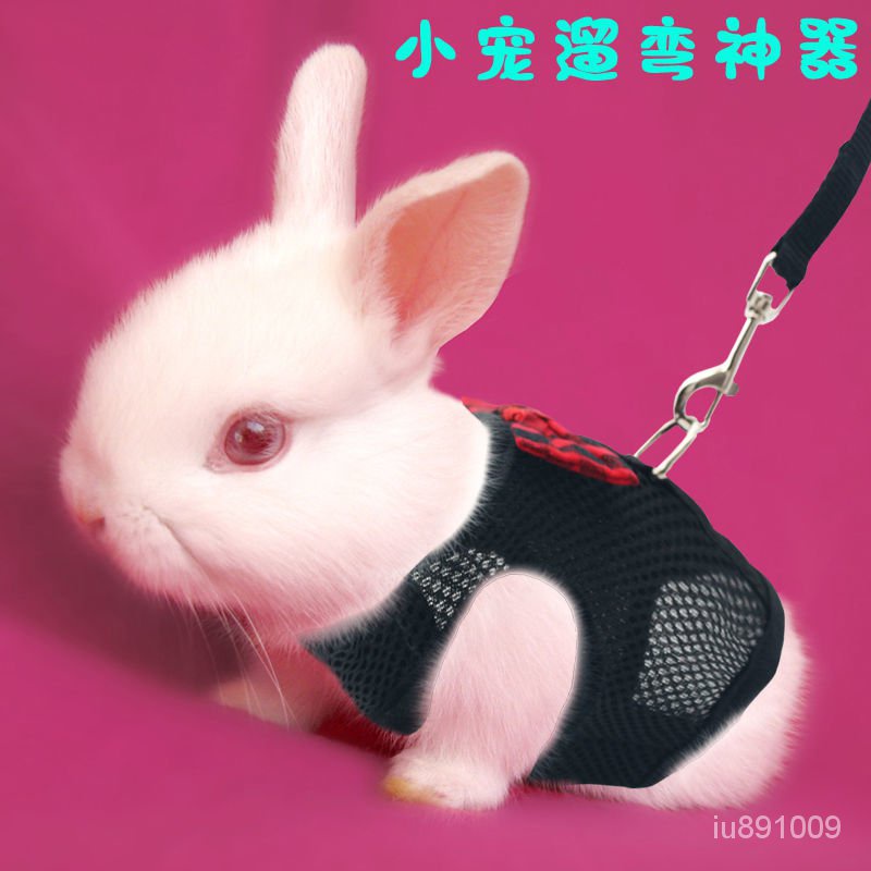 優選好物 兔子牽引繩兔兔繩子用品衣服泰迪小貓咪遛兔繩溜兔繩牽兔繩防掙脫 BHD5