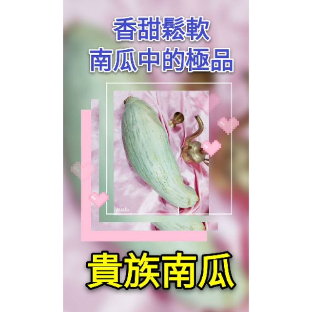 【紅樹林】 貴族南瓜~南瓜中的極品， 甜香鬆軟 (種子)~每份8粒