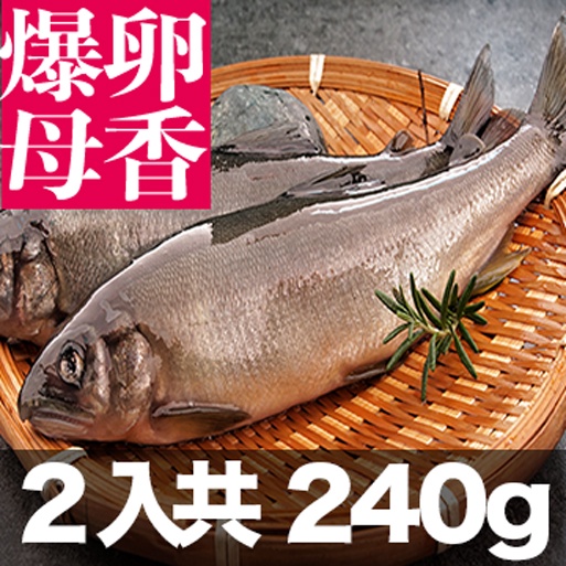 限量！南海豐【爆卵大尾母香魚】2尾入共240g  黃金色魚卵飽滿/迷人香氣鮮美肉質細緻/鹽烤最讚食材