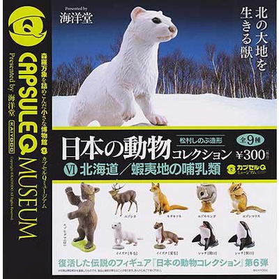 【轉蛋】海洋堂日本動物收藏6 北海道版 小鼯鼠 日本正版