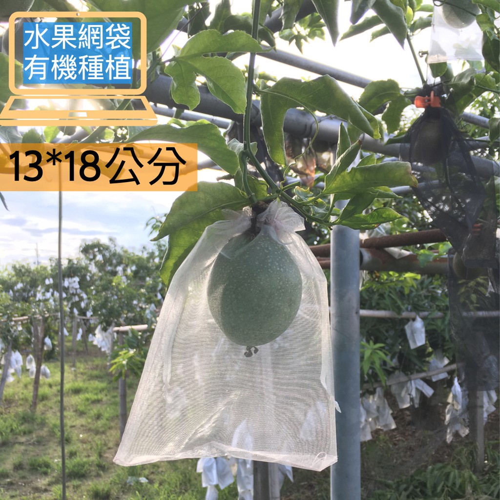 13 18cm雙拉繩紗網袋 可防蟲防鳥 禮品袋 百香果套袋 無花果套袋 防蟲水果套袋 百香果 無花果 芒果等各種果 蝦皮購物