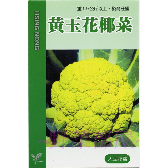 【萌田種子~】E40 黃玉花椰菜種子0.08公克 , 大型黃色花蕾 , 生長旺盛 , 每包16元 ~