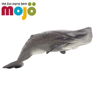 Mojo Fun動物模型-抹香鯨