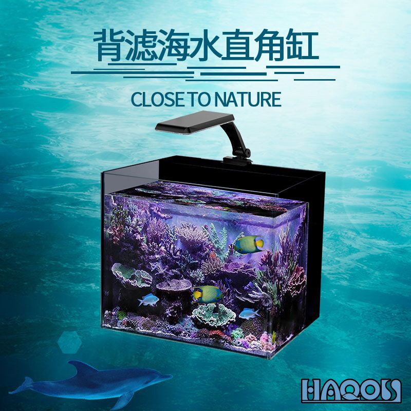 小型迷你創意方形辦公家用桌面背部過濾高清熱彎玻璃海水缸微缸 蝦皮購物