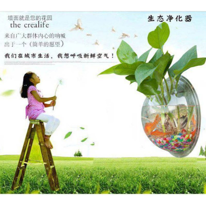 現貨 壁掛魚缸 花瓶 透明壓克力 贈彩石 水草 蝦皮購物