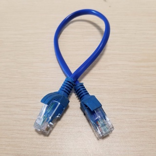 10pcs / lot RJ-45 RJ45 公對公 CAT5 以太網電纜網絡短電纜藍色 25cm