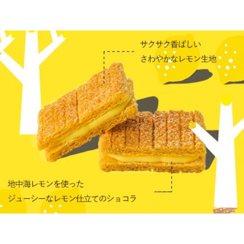 現貨+預購日本禮盒Sugar Butter Tree 砂糖樹莓果蘋果堅果可可檸檬草莓抹茶砂糖奶油樹| 蝦皮購物