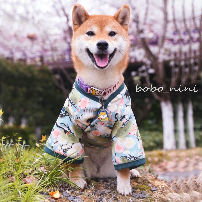 愛寵格格 柴犬和服貓咪衣服貓和服寵物狗狗和風衣服仙鶴柯基泰迪柴犬小中型犬衣服波斯貓布偶貓日式和服