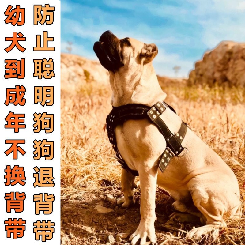 狗狗胸背帶狗拉車拖車比特犬拖重訓練寵物背心式胸背中型犬大型犬 蝦皮購物