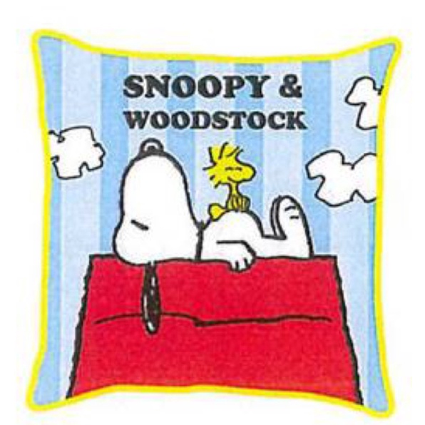 《現貨》Snoopy 史努比 抱枕 午睡枕 靠墊 汽車靠墊 枕頭 史努比靠墊