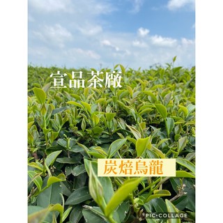 高山炭焙烏龍茶（現貨）1斤400元 高山茶 烏龍茶 南投松柏嶺 台灣茶