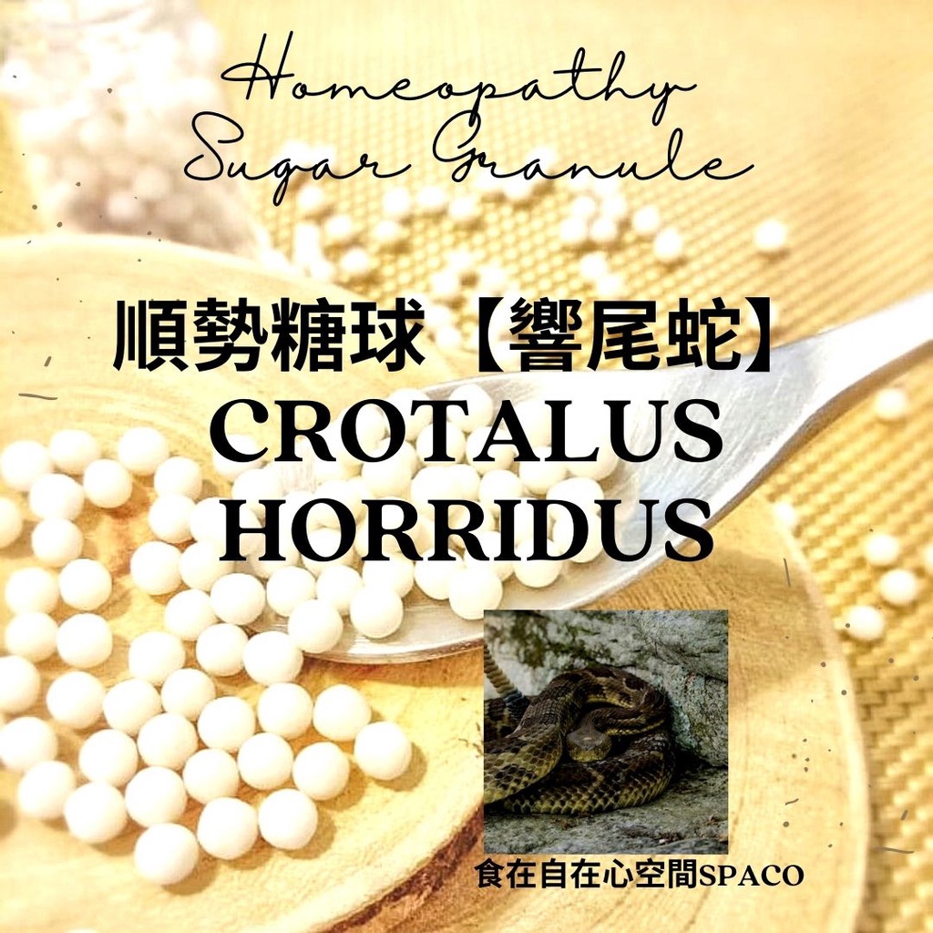 順勢糖球【Crotalus Horridus】Homeopathic Granule 9克 食在自在心空間