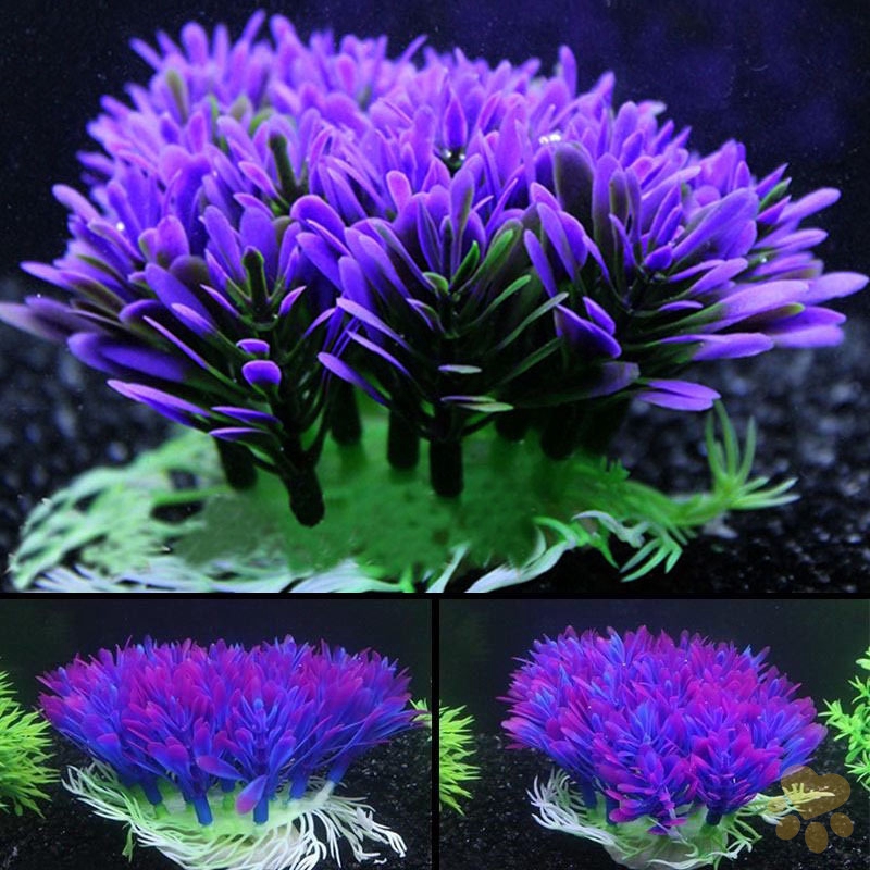 咕嚕館模擬水草紫色水草水族造景中景草後景草水草魚缸造景魚缸造景裝飾水族箱配件模擬水草花魚缸植物套餐小草叢紫色
