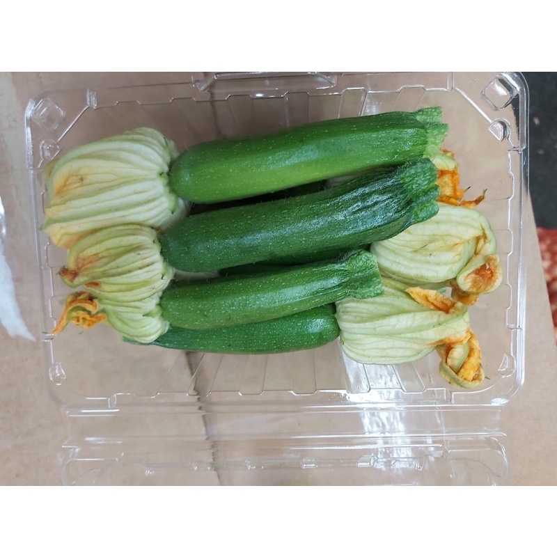 櫛瓜花櫛瓜花櫛瓜花 限自取 蝦皮購物