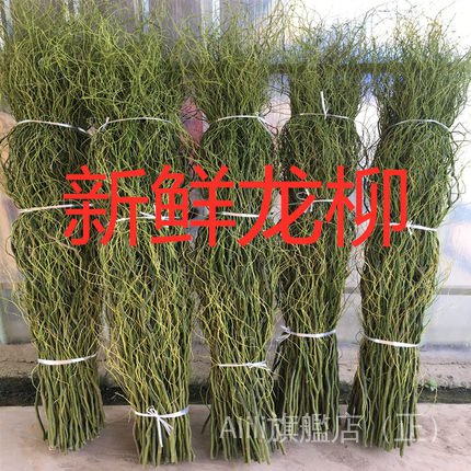 仿真系列 鮮龍柳插花輔材活龍柳婚慶專用拱門雲龍柳鮮枝客廳落地裝飾樹枝 蝦皮購物