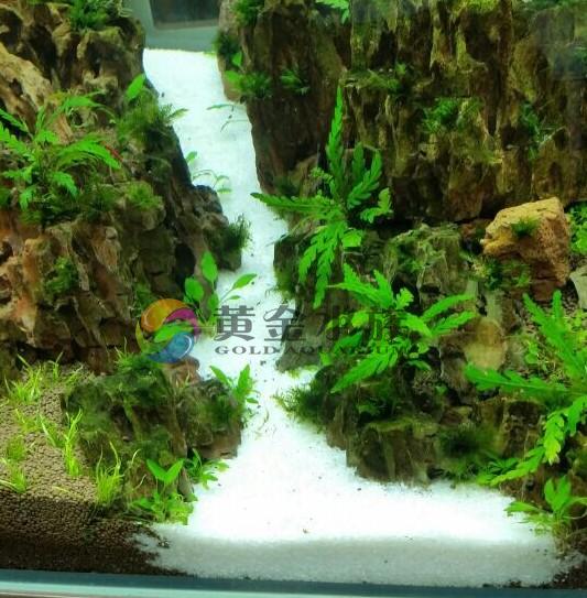 魚缸造景 養魚必備 黃金水族草魚缸流沙瀑布小路河流裝飾白色底砂白瓷沙不渾水不硬水 蝦皮購物