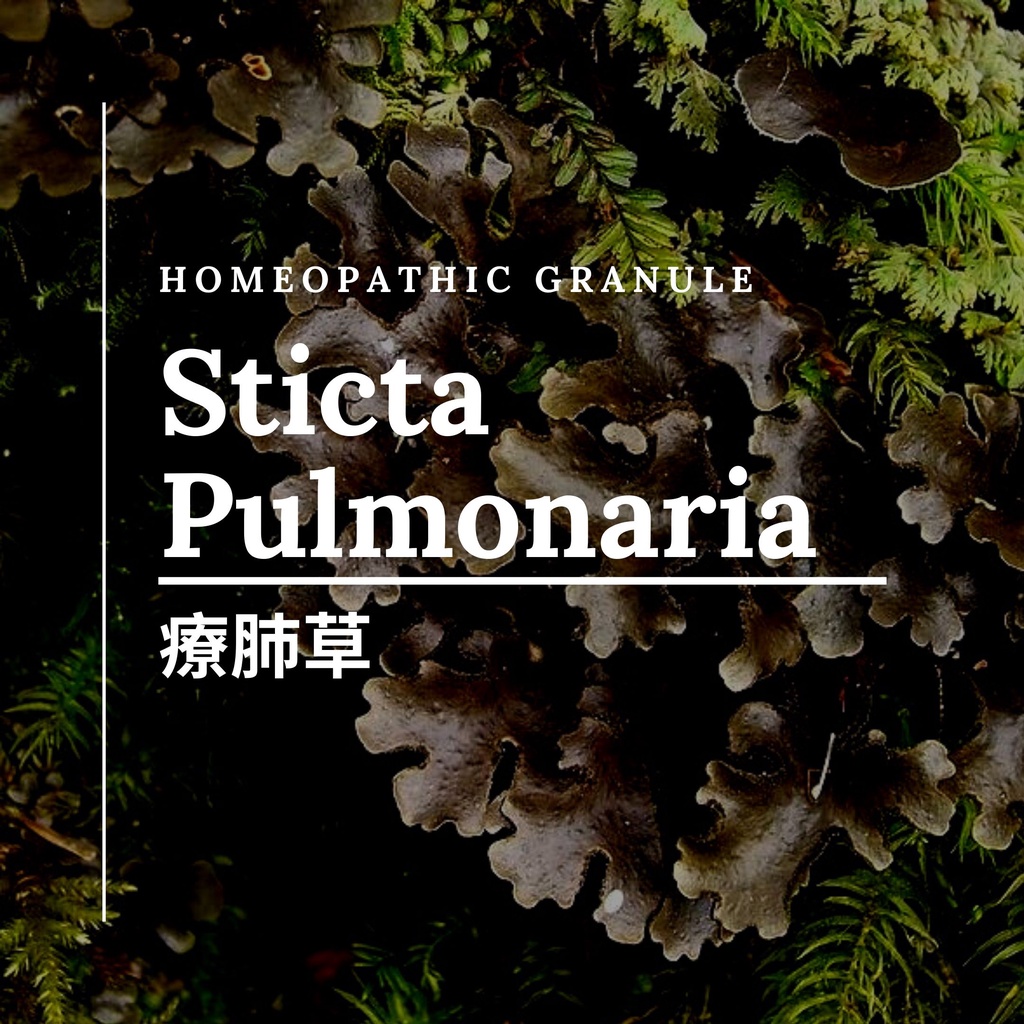 順勢糖球【療肺草●Sticta Pulmonaria】冬季保養Homeopathic Granule 9克