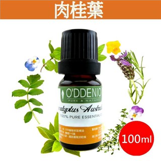 《歐丹尼》【肉桂葉純精油100ml】Cinnamon Leaf優質單方純精油系列