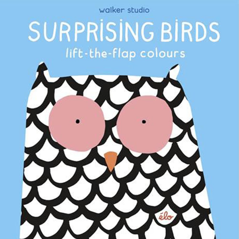 Surprising Birds：Lift-The-Flap Colours 精裝翻翻書（外文書）