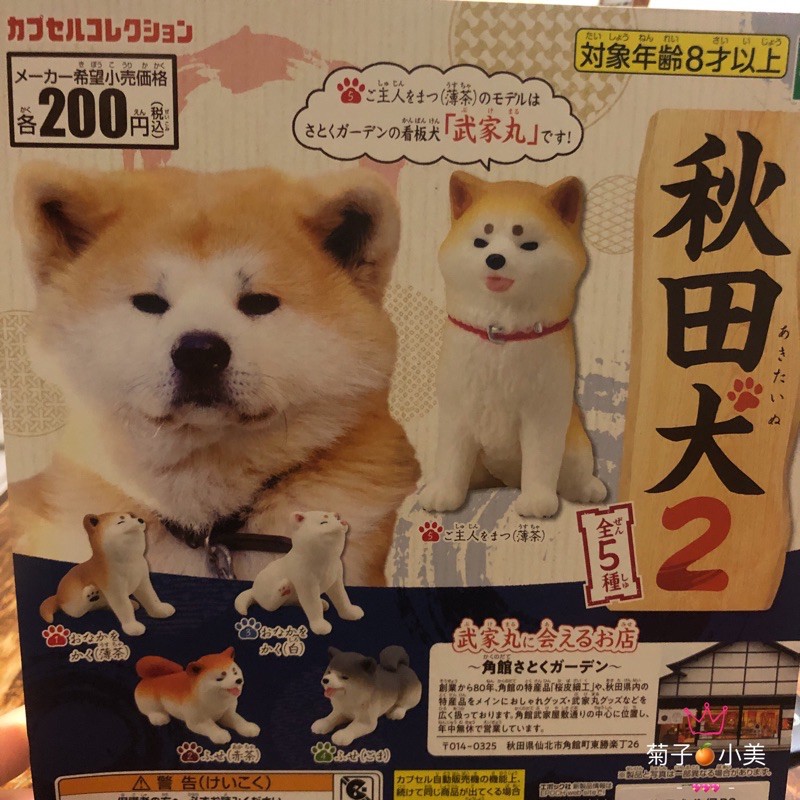 寶貝扭蛋 秋田犬公仔p2 一組5顆整組賣 單賣 全新未拆 蝦皮購物