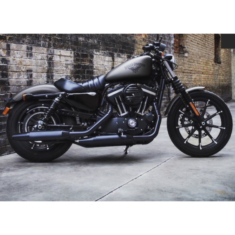 哈雷 Harley-Davidson Iron 883 2015