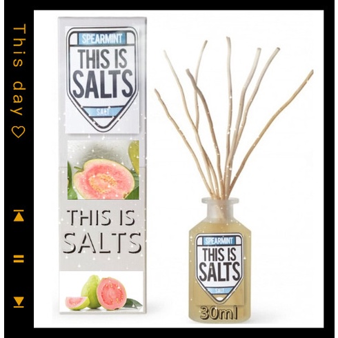 【Jane】THIS IS SALTS 美國品牌 台灣現貨 30ml | 廚師佳釀 賴桑紅心芭樂 LH麥根沙士
