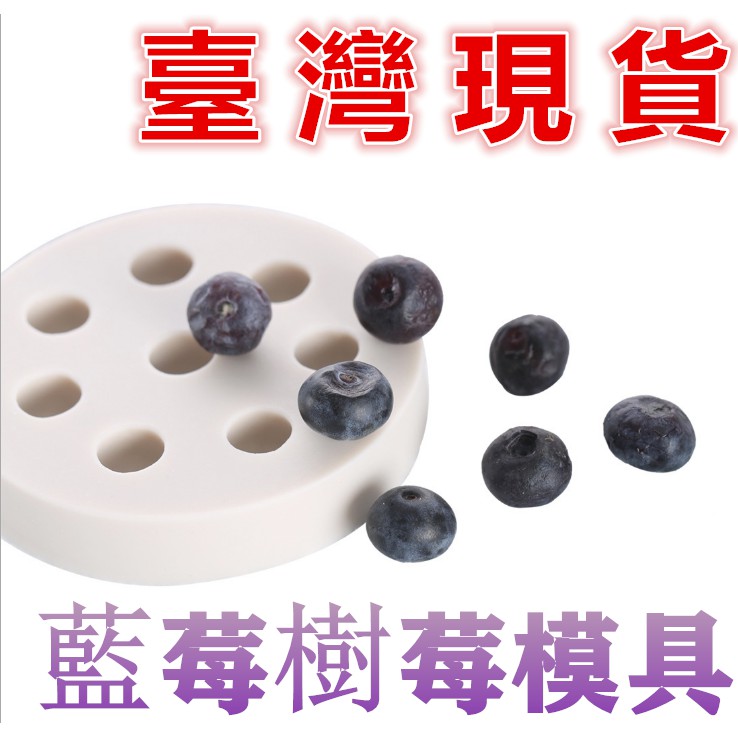 臺灣現貨 新品藍莓樹莓翻糖蛋糕矽膠模具幹佩斯裝飾慕斯巧克力烘焙工具黏土造型模具（语）