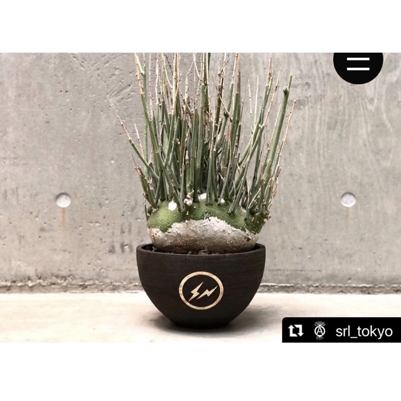 Neighborhood Srl Nbhd 藤原浩盆栽閃電仙人掌塊根手工花盆綠植植物家居 蝦皮購物