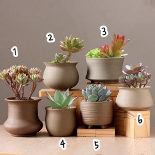 現貨陶瓷多肉植物粗陶土色簡約耐看盆栽花器花盆 蝦皮購物