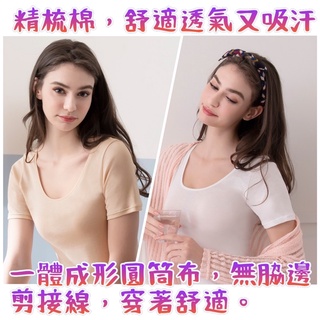 華歌爾 短袖內搭衣 精梳棉 LT502422 M-LL U領短袖蘭姿 白色短袖內搭 膚色短袖內搭 簡約家居服
