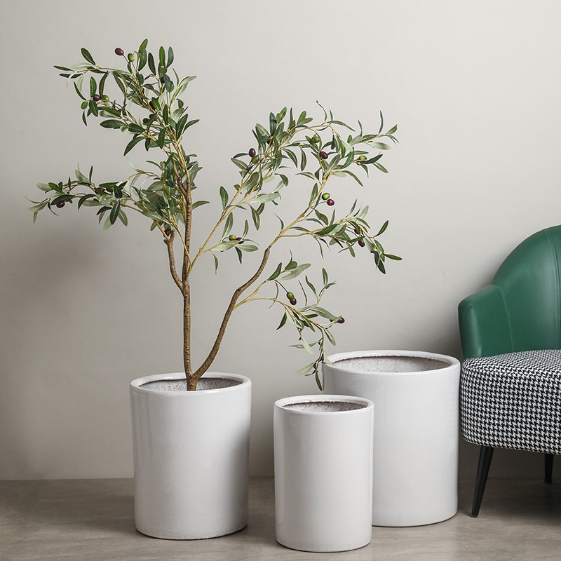 成匠北歐風發財樹金錢樹平安樹特大號陶瓷花盆客廳落地大盆送托盤 蝦皮購物