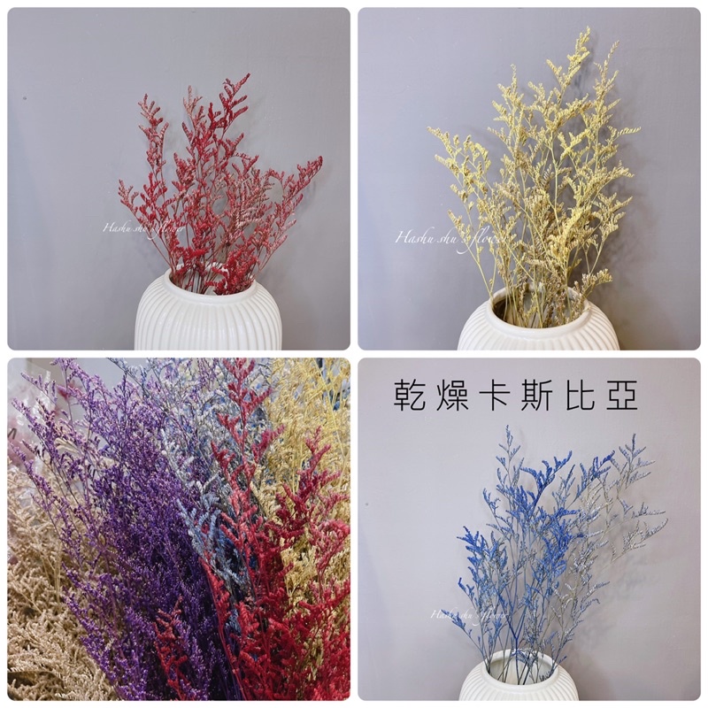現貨 卡斯比亞 29 份乾燥花乾燥花束材料乾燥花花乾燥花材料包乾燥花束包裝diy乾燥花diy乾燥花材料 蝦皮購物
