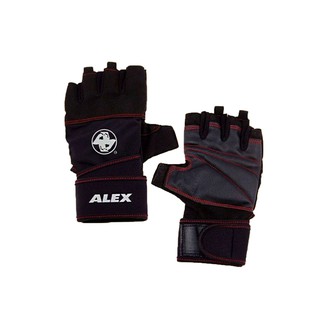 ALEX POWER 手套 (自行車 單車 健身 重量訓練 黑