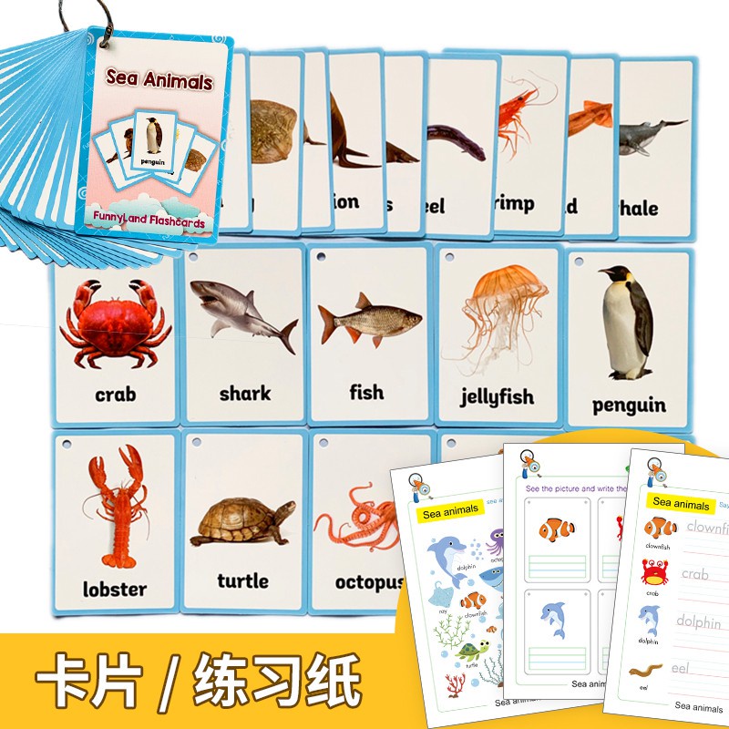 Sea Animals 海洋动物英語分类卡片兒童早教啟蒙學英文单字英語單詞閃卡小達人點讀 蝦皮購物