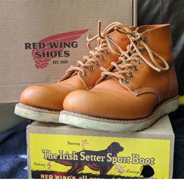 Red wing 9871 犬標 irish setters 落日黃圓頭靴