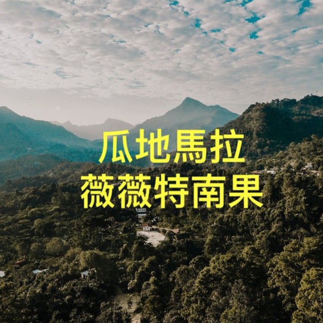 『!COFFEE驚嘆號咖啡』自家烘焙 單一莊園 瓜地馬拉 薇薇特南果 瓜雅普合作社 公平交易 水洗
