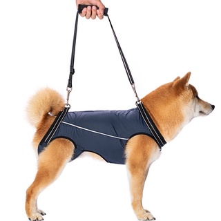 💥全臺最低價💥 （關愛老年犬）Shiba 新款高龄犬輔助服殘疾狗外出輔助腰帶步行障礙狗護理服