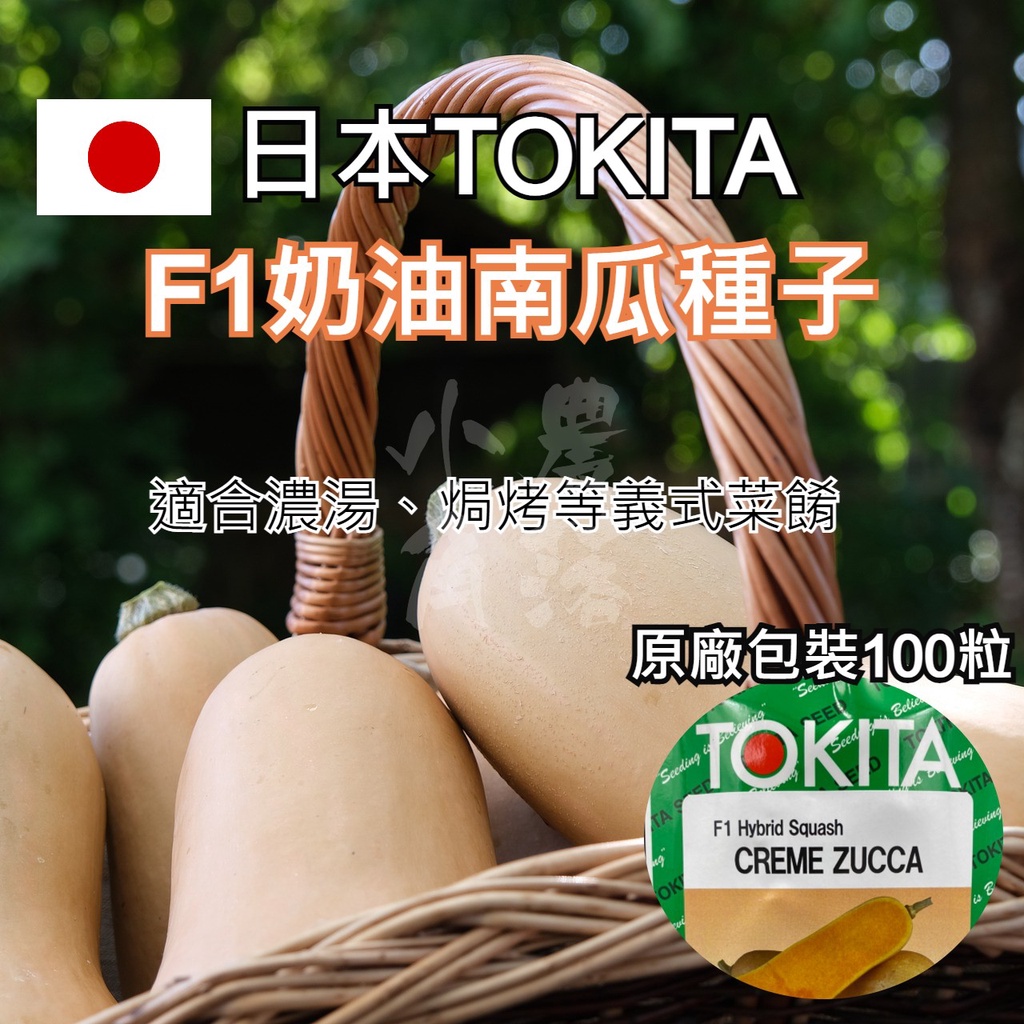 【現貨。不用再問】F1品種 日本 TOKITA 奶油南瓜種子 (100粒原廠包裝)