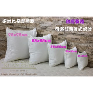 【25*25cm】白色方形抱枕心/靠墊腰枕各種尺寸/舒柔羽絲絨枕→臺灣製造