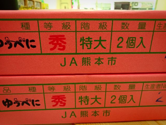 日本空運熊本熊草莓 蝦皮購物