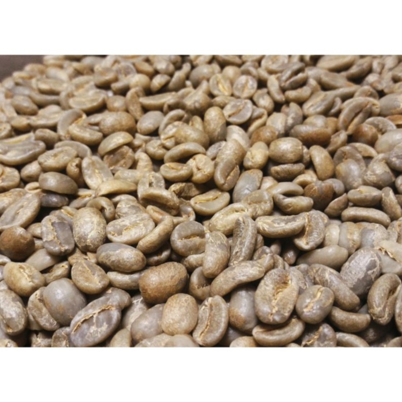 咖啡生豆  巴拿馬 柯托瓦莊園 女巫 藝妓瑰夏 水洗  咖啡豆 波雷克堤咖啡 每單限重4公斤