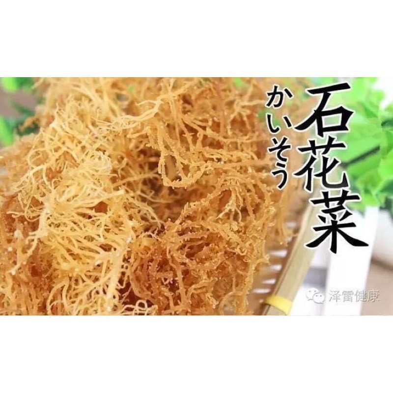 石花菜的價格推薦第5 頁 21年7月 比價比個夠biggo
