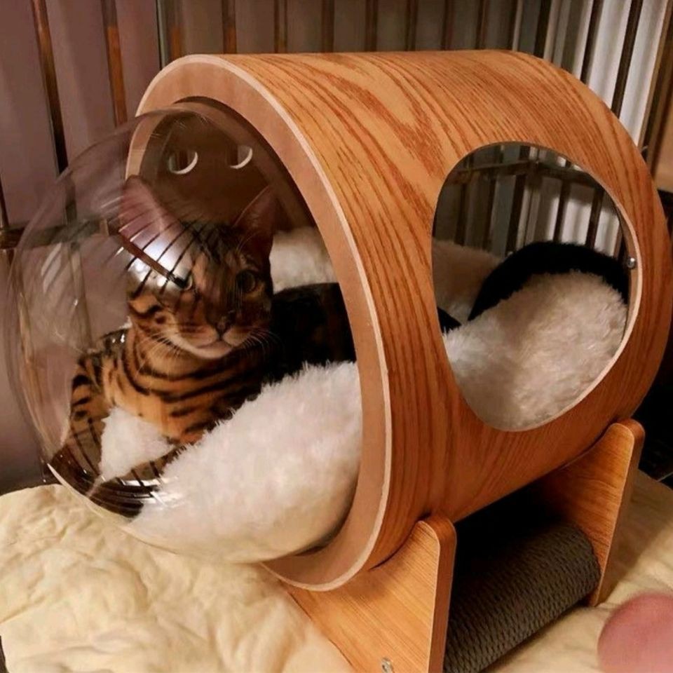 ✾♂✉網紅貓窩四季通用貓爬架太空艙膠囊貓窩家居一體膠囊實木舒適透明