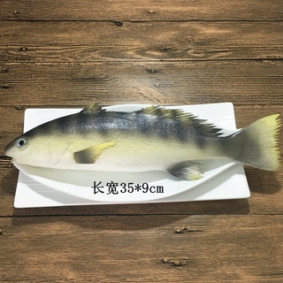 魚道具 優惠推薦 22年10月 蝦皮購物台灣