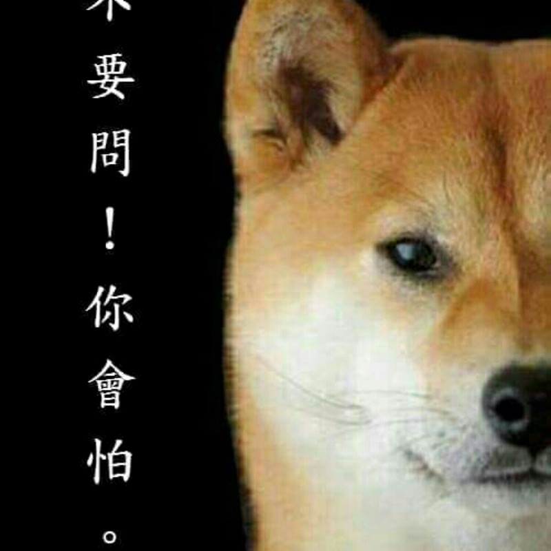 Delomkimo 線上商店 蝦皮購物