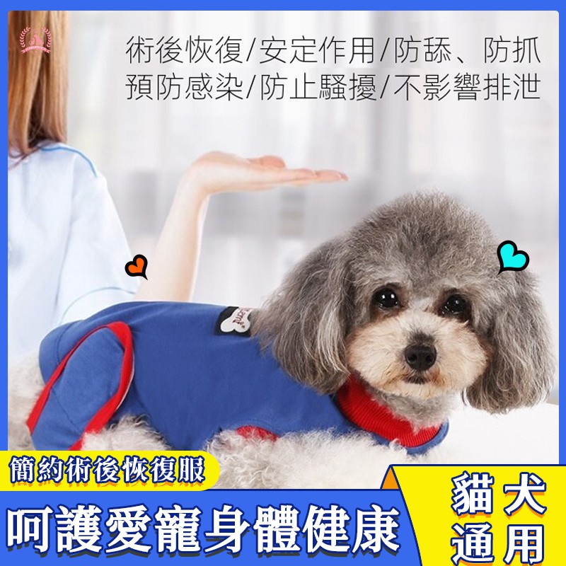 結紮衣絕育服的價格推薦 21年7月 比價比個夠biggo