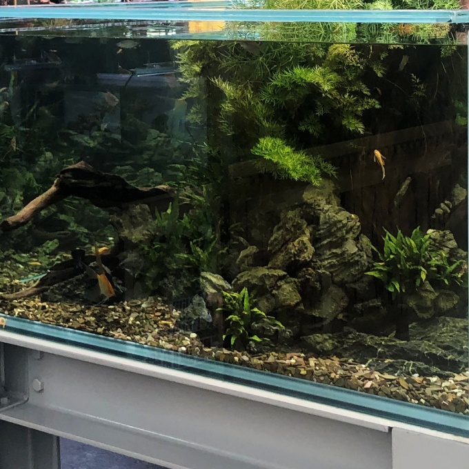 丹尼爾申古河砂5kg 原採河砂系列 蝦皮購物