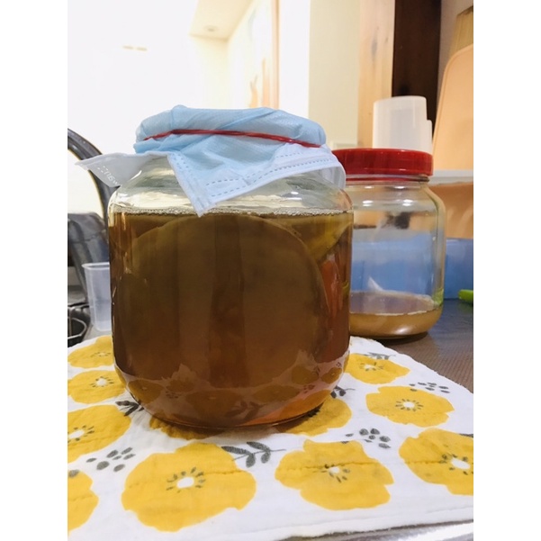 康普茶菌 紅茶菌 含啟動液（附贈5斤寬口玻璃瓶，限台北、中永和、台中市區面交）